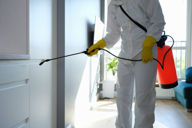 Best Commercial Mold Removal  in Norfolk, NE